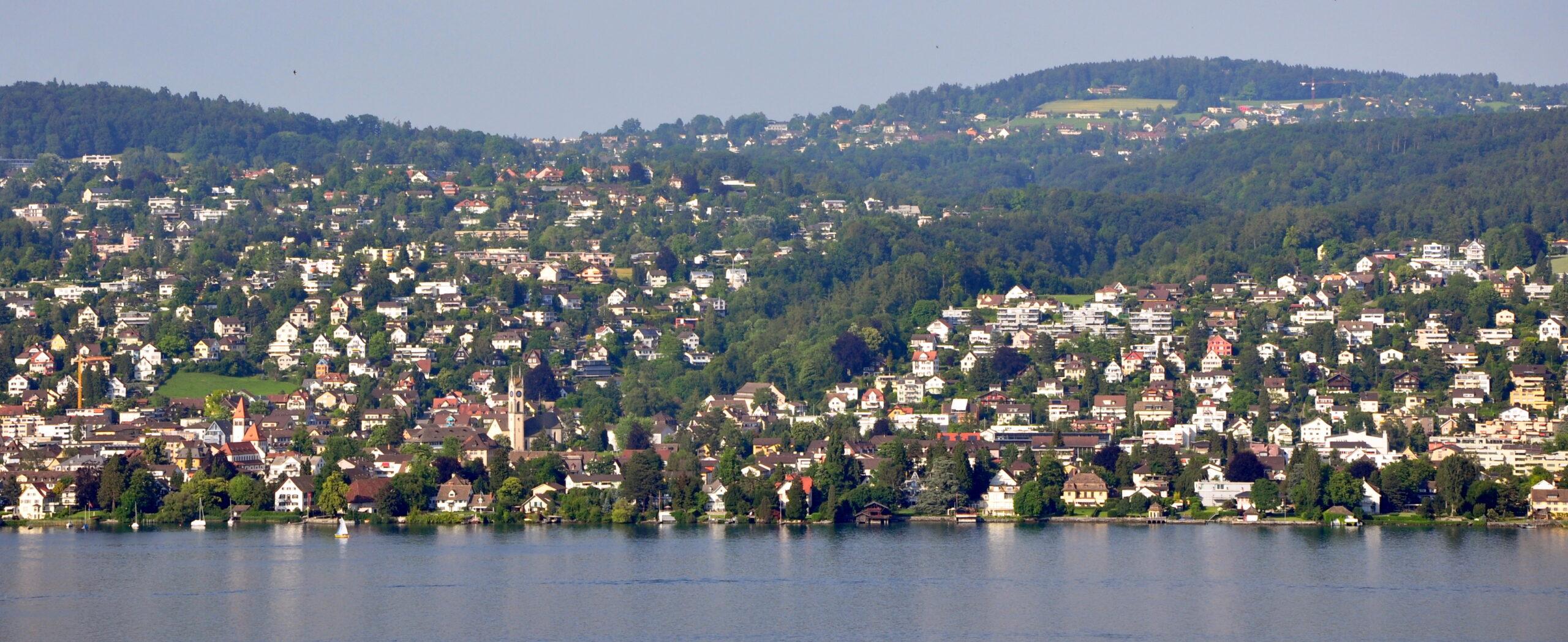 Umzug am Zürichsee | Benoha Umzug