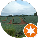 Profilbild von „Alex“