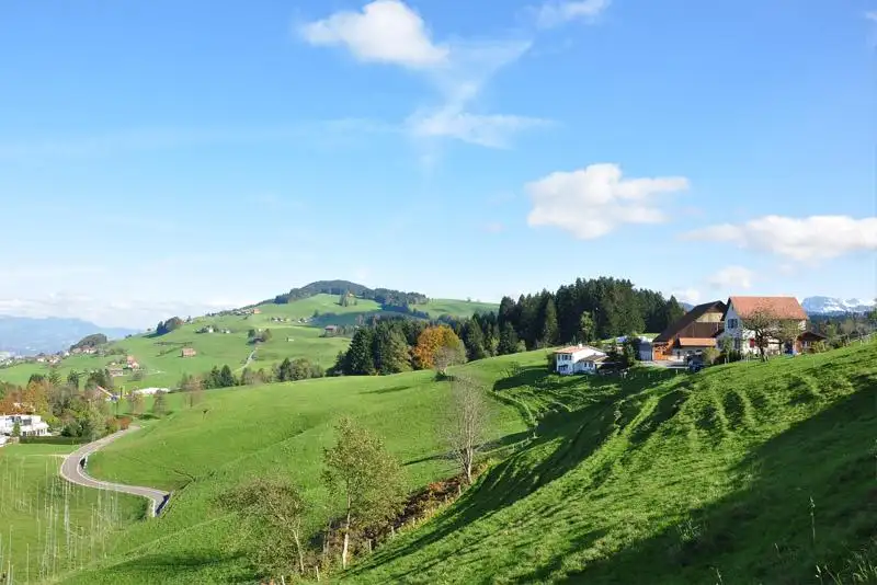 Umzug in Schindellegi Feusisberg: grüne Hügel mit Bauernhöfen bei Feusisberg
